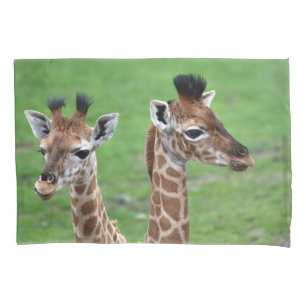 Cutest Baby Animals   Two Baby Giraffes Pillowcase