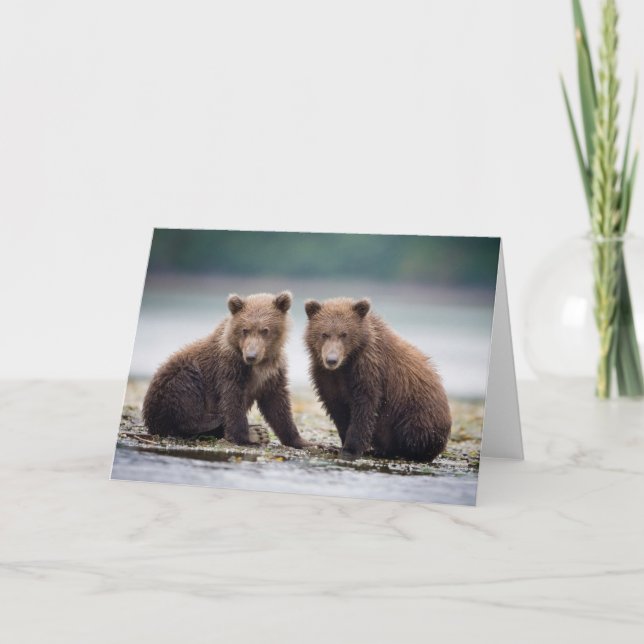 Cutest Baby Animals | Two Bear Cubs Card (Front)