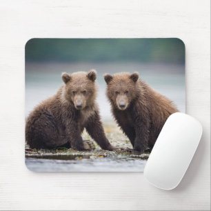 Cutest Baby Animals Two Bear Cubs Mouse Mat