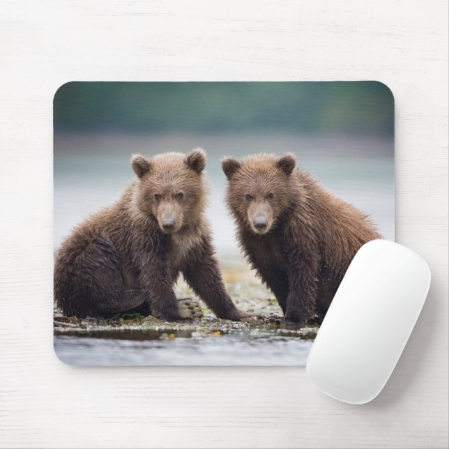 Cutest Baby Animals | Two Bear Cubs Mouse Mat (With Mouse)