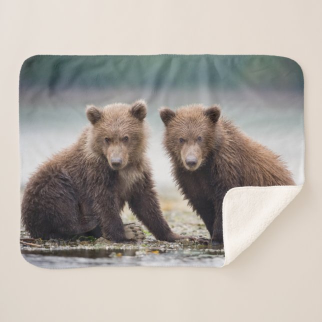 Cutest Baby Animals | Two Bear Cubs Sherpa Blanket (Front (Horizontal))