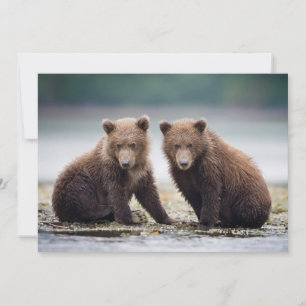 Cutest Baby Animals   Two Bear Cubs Thank You Card