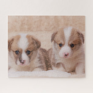 Cutest Baby Animals   Two Corgi Puppies Jigsaw Puzzle