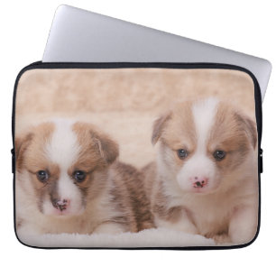 Cutest Baby Animals Two Corgi Puppies Laptop Sleeve