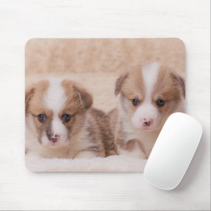 Cutest Baby Animals   Two Corgi Puppies Mouse Mat