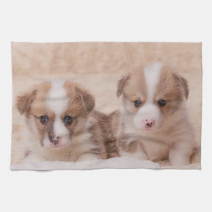 Cutest Baby Animals Two Corgi Puppies Tea Towel