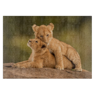 Cutest Baby Animals   Two Lion Cubs Cutting Board