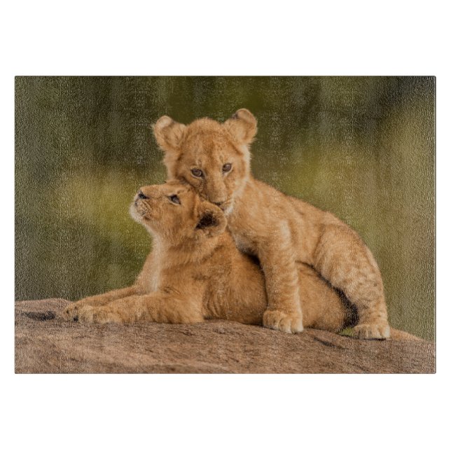 Cutest Baby Animals | Two Lion Cubs Cutting Board (Front)