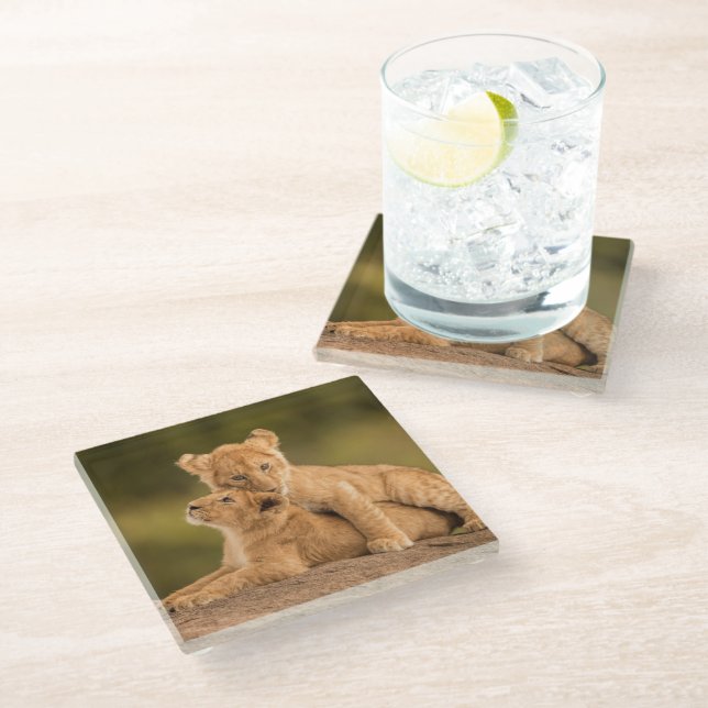 Cutest Baby Animals | Two Lion Cubs Glass Coaster (Angled)