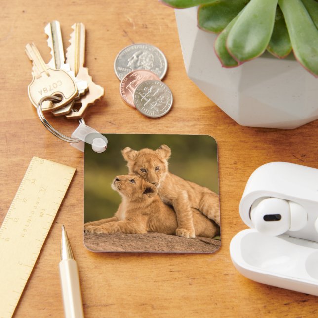 Cutest Baby Animals | Two Lion Cubs Key Ring (Desk)