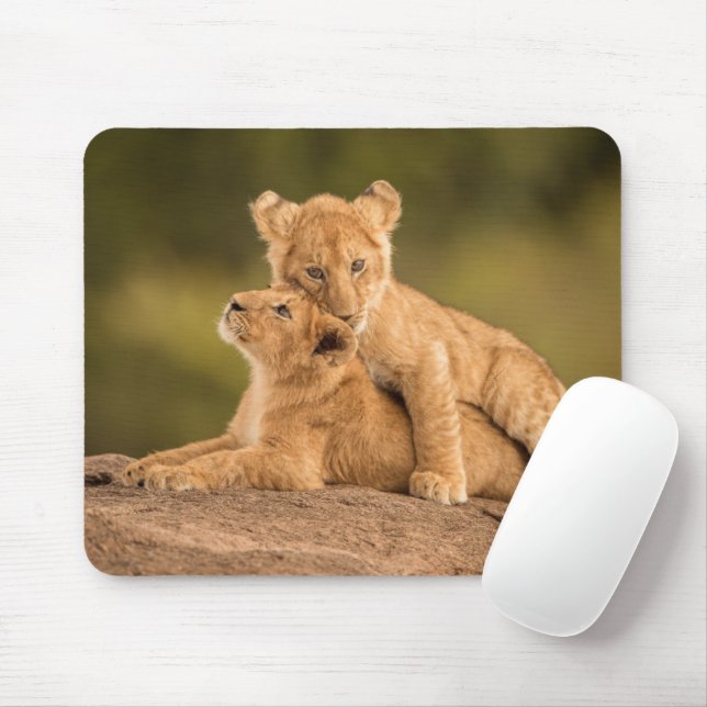 Cutest Baby Animals | Two Lion Cubs Mouse Mat (With Mouse)