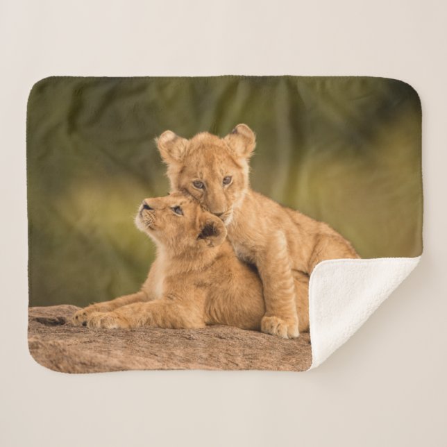 Cutest Baby Animals | Two Lion Cubs Sherpa Blanket (Front (Horizontal))