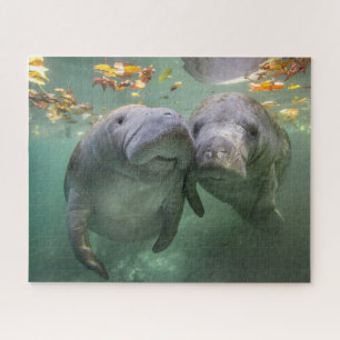 Cutest Baby Animals   Two Manatees Jigsaw Puzzle