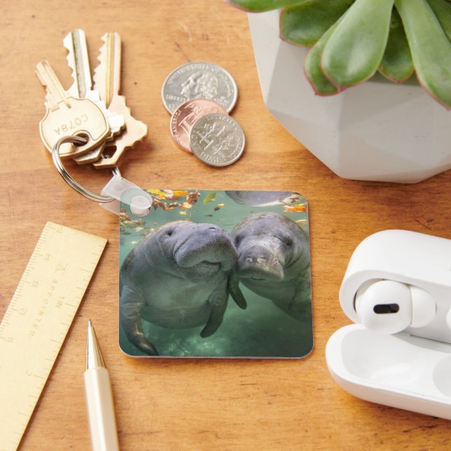 Cutest Baby Animals | Two Manatees Key Ring (Desk)