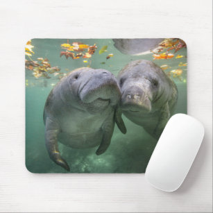 Cutest Baby Animals   Two Manatees Mouse Mat