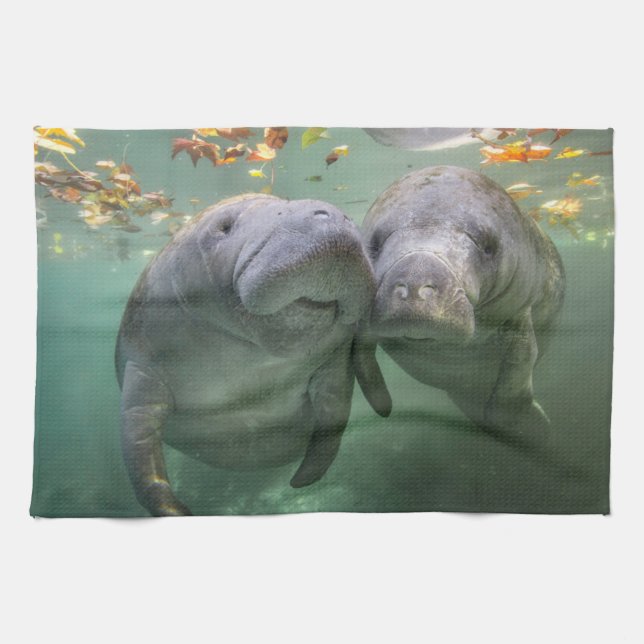 Cutest Baby Animals | Two Manatees Tea Towel (Horizontal)