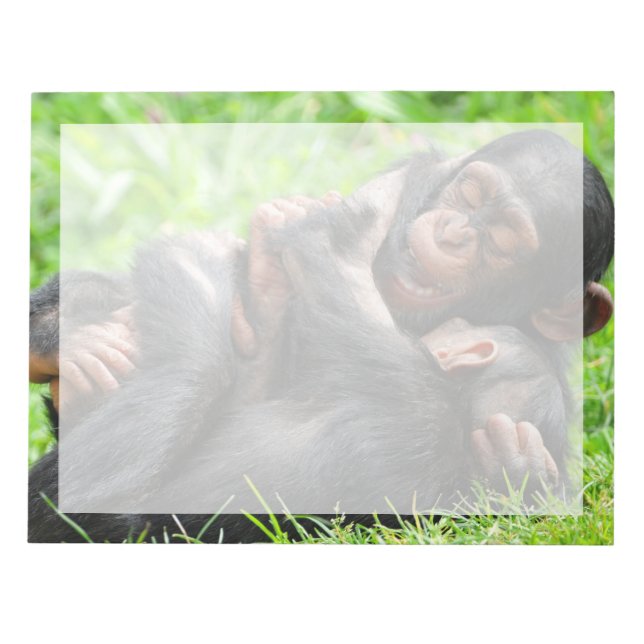 Cutest Baby Animals | Two Young Chimpanzees Notepad (Front)