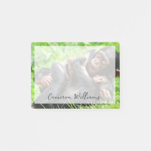 Cutest Baby Animals Two Young Chimpanzees Post-it Notes