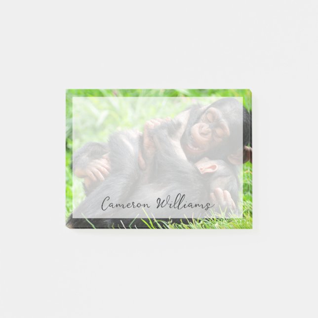 Cutest Baby Animals | Two Young Chimpanzees Post-it Notes (Front)