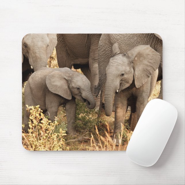 Cutest Baby Animals | Two Young Elephants Mouse Mat (With Mouse)