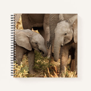 Cutest Baby Animals   Two Young Elephants Notebook