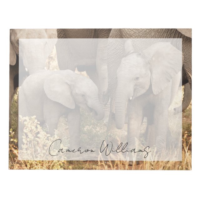 Cutest Baby Animals | Two Young Elephants Notepad (Front)