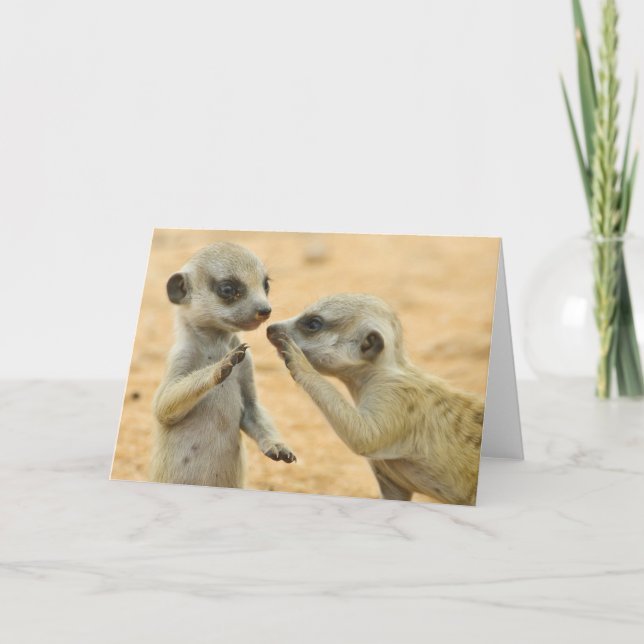 Cutest Baby Animals | Two Young Meerkats Card (Front)