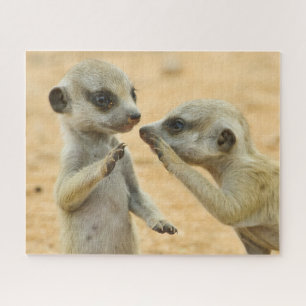 Cutest Baby Animals   Two Young Meerkats Jigsaw Puzzle