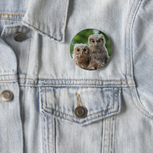 Cutest Baby Animals Two Young Owls 6 Cm Round Badge