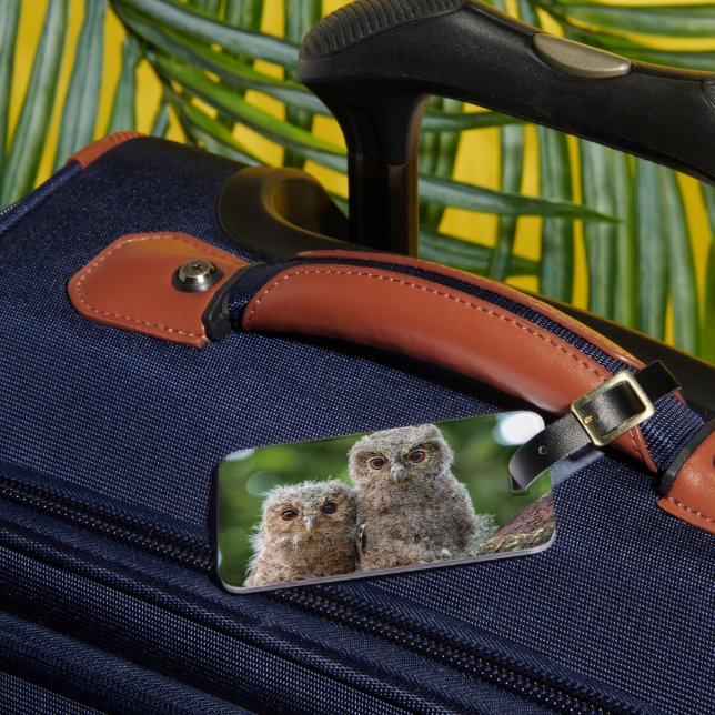 Cutest Baby Animals | Two Young Owls Luggage Tag (Front Insitu 3)