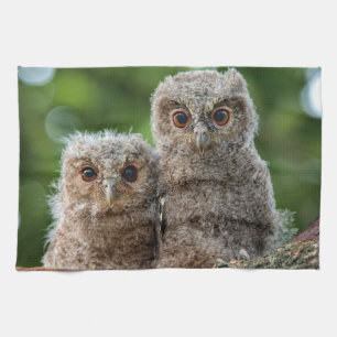 Cutest Baby Animals   Two Young Owls Tea Towel