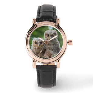 Cutest Baby Animals Two Young Owls Watch