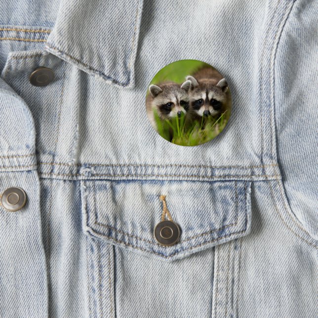 Cutest Baby Animals | Two Young Raccoons 6 Cm Round Badge (In Situ)
