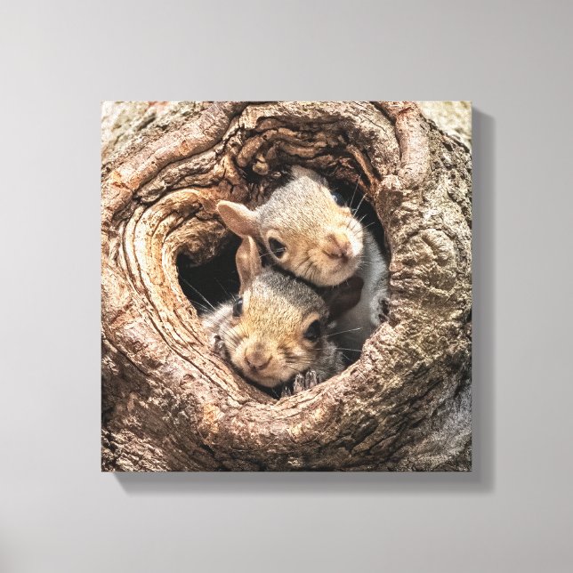Cutest Baby Animals | Two Young Squirrels Canvas Print (Front)
