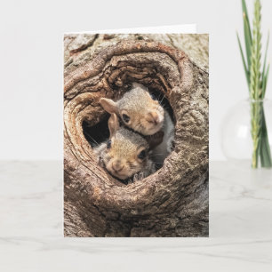 Cutest Baby Animals   Two Young Squirrels Card
