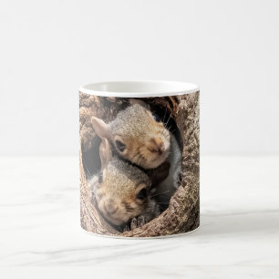 Cutest Baby Animals   Two Young Squirrels Coffee Mug