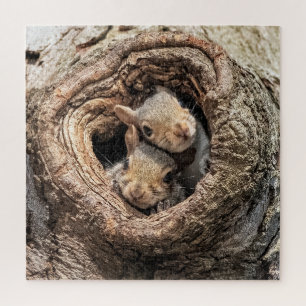 Cutest Baby Animals   Two Young Squirrels Jigsaw Puzzle