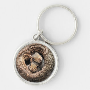 Cutest Baby Animals   Two Young Squirrels Key Ring