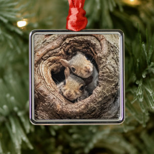 Cutest Baby Animals   Two Young Squirrels Metal Tree Decoration