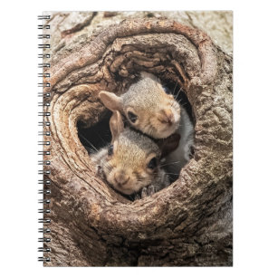 Cutest Baby Animals   Two Young Squirrels Notebook