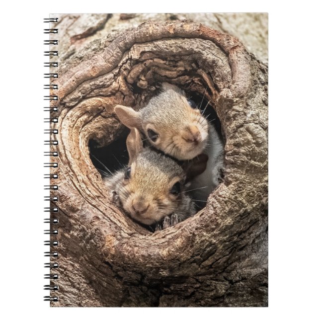 Cutest Baby Animals | Two Young Squirrels Notebook (Front)