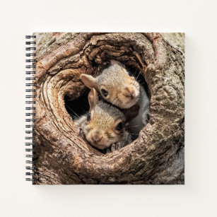 Cutest Baby Animals   Two Young Squirrels Notebook