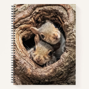 Cutest Baby Animals   Two Young Squirrels Notebook