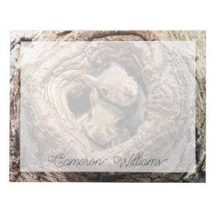 Cutest Baby Animals Two Young Squirrels Notepad