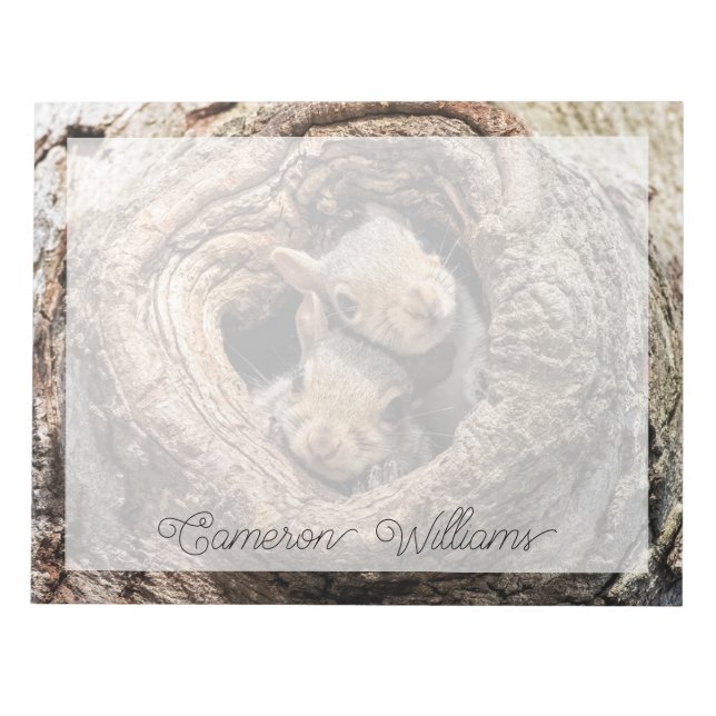 Cutest Baby Animals | Two Young Squirrels Notepad (Front)