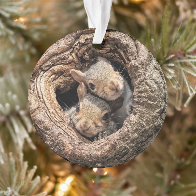 Cutest Baby Animals | Two Young Squirrels Ornament (Tree)