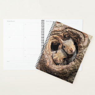 Cutest Baby Animals Two Young Squirrels Planner