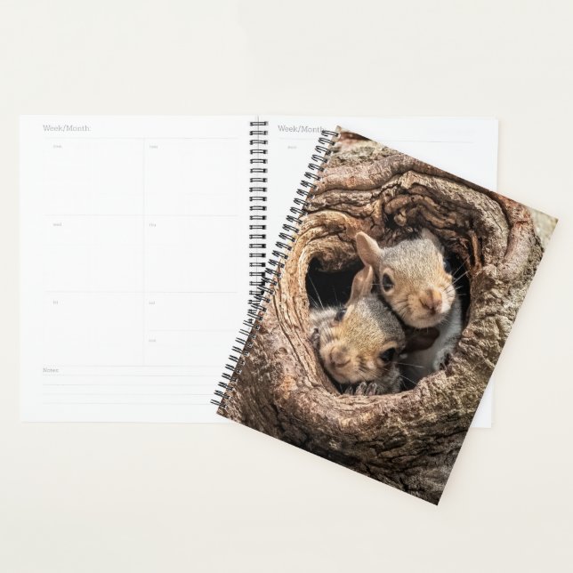 Cutest Baby Animals | Two Young Squirrels Planner (Display)