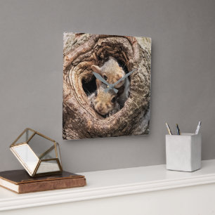 Cutest Baby Animals   Two Young Squirrels Square Wall Clock