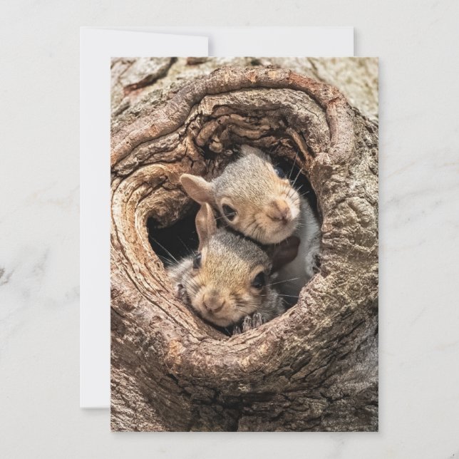Cutest Baby Animals | Two Young Squirrels Thank You Card (Front)